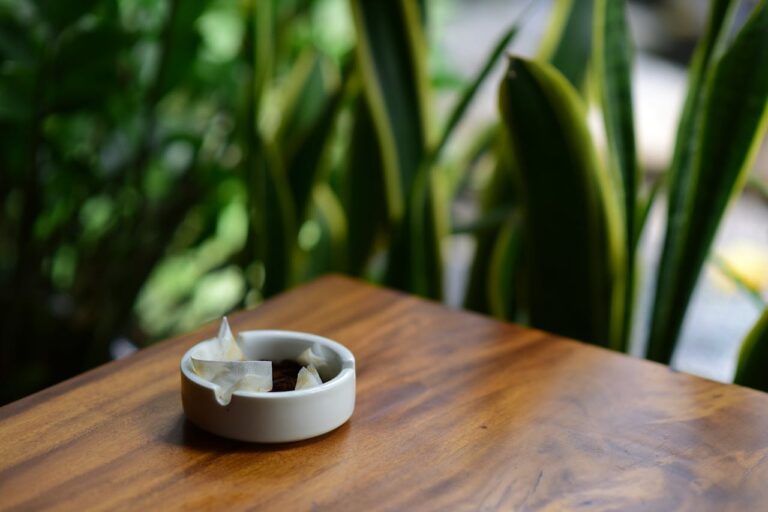 Snus kaufen in der Schweiz: Der grosse Ratgeber 2026