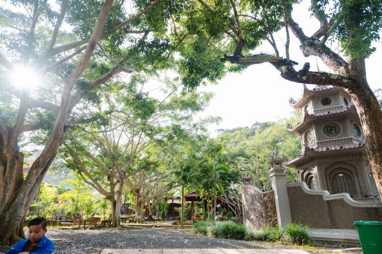 Travel & Car Bloc – Erfahrungsbericht