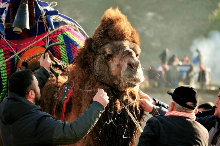 Wie du kulturelle Unterschiede in der Kunst interpretierst