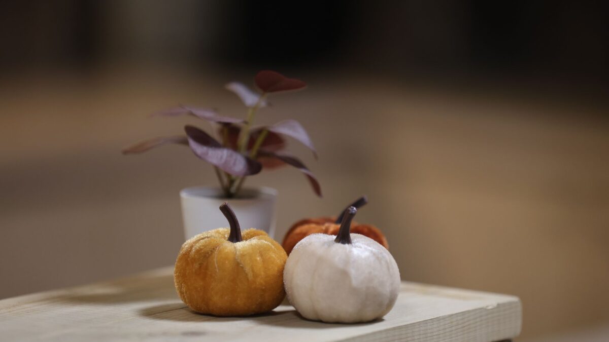 Herbstdeko nähen: Kürbisse, Kissen & Girlanden