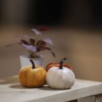 Herbstdeko nähen: Kürbisse, Kissen & Girlanden