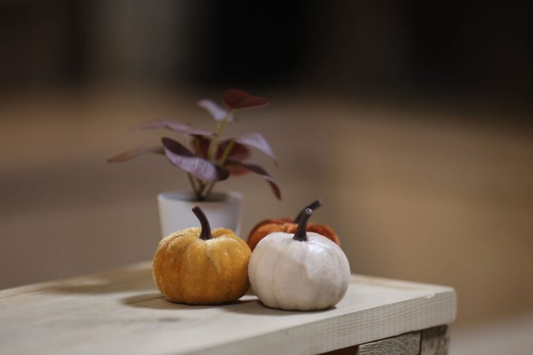 Herbstdeko nähen: Kürbisse, Kissen & Girlanden